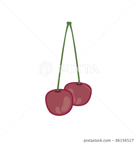 Cherry vector illustration with a white background and a flat design Cherry vector illustration with a white background and a flat design 86156527