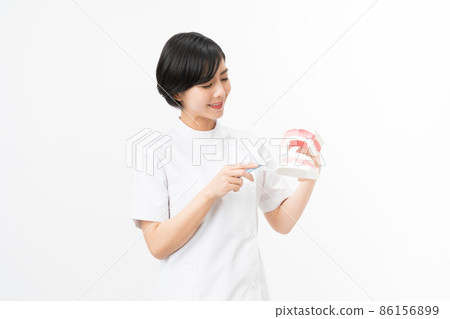 Young female dental hygienist with a tooth model (white background) 86156899