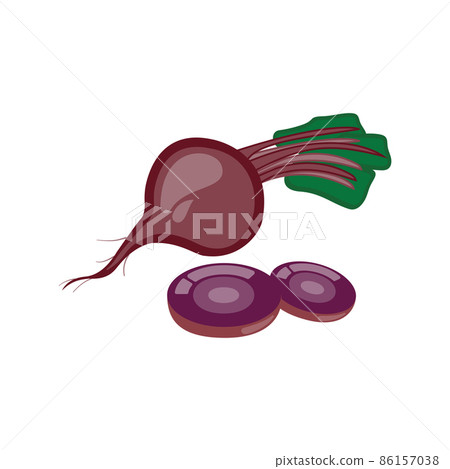 Isolated bits on a white background Half-leaved red beets, fresh. Vector illustration of vegetarian food 86157038