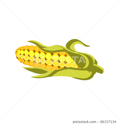 Isolated on a white background, vector flat illustration of corn. 86157134