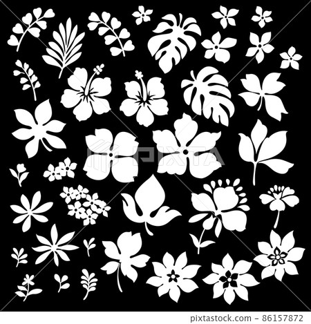 Tropical Leaf Material Collection, Tropical Leaf Material Collection, 86157872