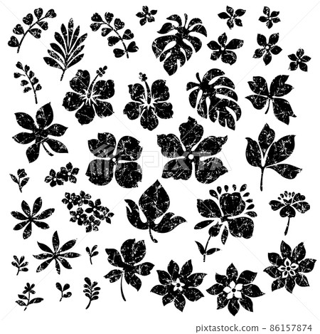 Tropical Leaf Material Collection, Tropical Leaf Material Collection, 86157874