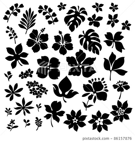 Tropical Leaf Material Collection, 86157876