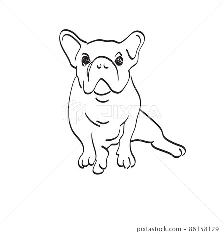 bulldog sitting illustration vector hand drawn isolated on white background line art. 86158129