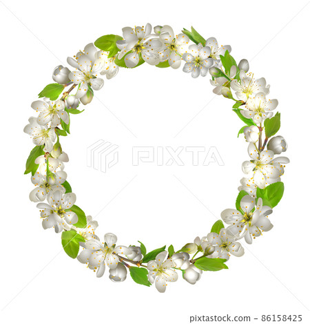 Cherry blossom wreath. White Delicate sakura flowers . Spring blooming composition with buds and leaves. 86158425