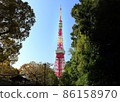 Tokyo Tower surrounded by greenery and a distant view of the blue sky 86158970
