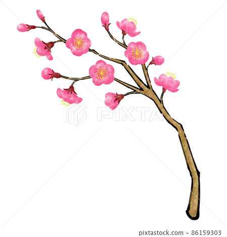 梅花和樹枝的日式毛筆插圖[紅梅] 86159303
