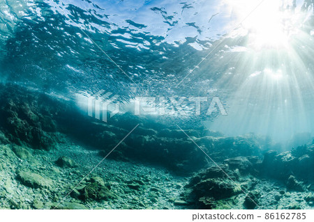 一群銀色條紋圓鯡魚在水下閃閃發光的光芒中游泳 86162785