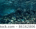 Fish swimming in beautiful water 86162806