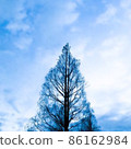 冬天的藍天，薄薄的白雲和沒有葉子的樹頂 86162984