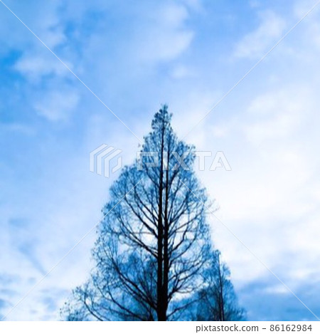 冬天的藍天,薄薄的白雲和沒有葉子的樹頂 冬天的藍天,薄薄的白雲和沒有葉子的樹頂 86162984