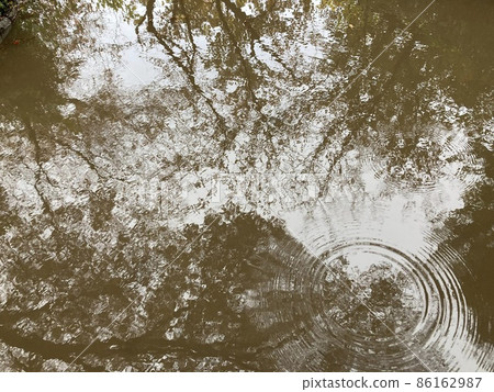 一棵樹的影子倒映在水坑里 86162987