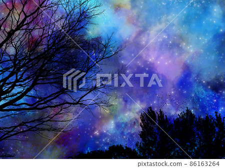 Scenery of the night forest where the mysterious wind blows Scenery of the night forest where the mysterious wind blows 86163264