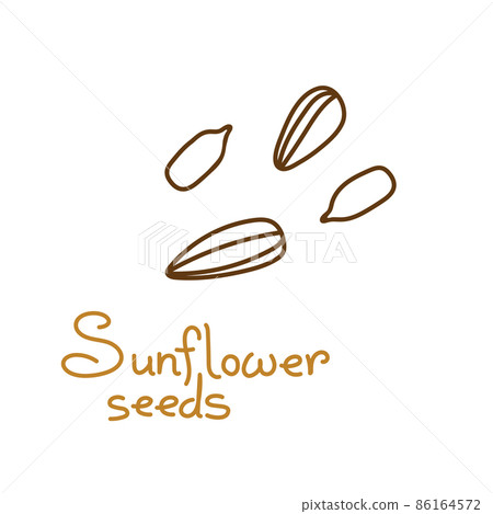 sunflower seeds hand drawn graphics element for packaging design of seeds or snack. Vector illustration in line art style sunflower seeds hand drawn graphics element for packaging design of seeds or snack. Vector illustration in line art style 86164572