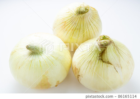 New onion. (White background) New onion. (White background) 86165114