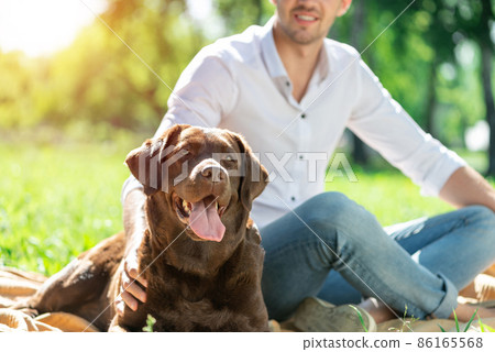 Dog with owner in the park Dog with owner in the park 86165568