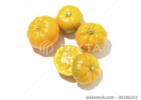 Shooting ripe sudachi on a white background 86166252