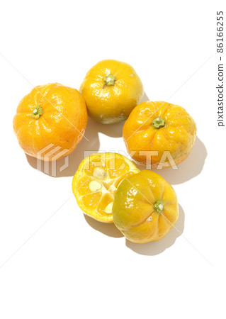Shooting ripe sudachi on a white background Shooting ripe sudachi on a white background 86166255