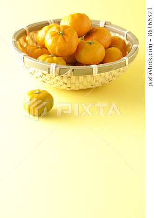 Ripe sudachi in a colander Ripe sudachi in a colander 86166321