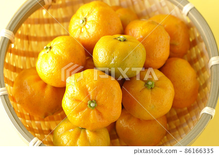 Ripe sudachi in a colander Ripe sudachi in a colander 86166335
