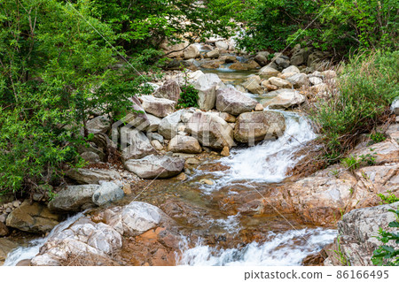 Valley in the forest Valley in the forest 86166495