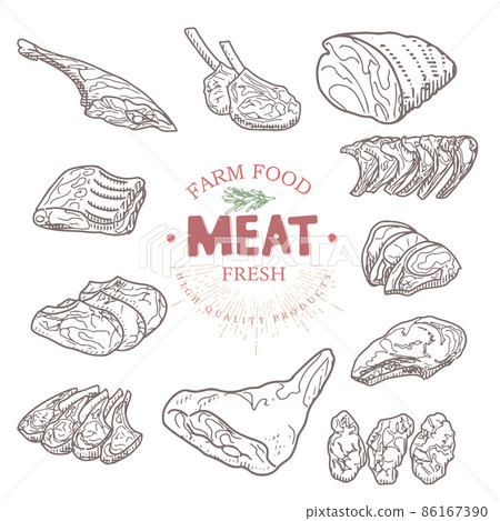 Collection of raw meat in vintage engraving style - Stock Illustration ...