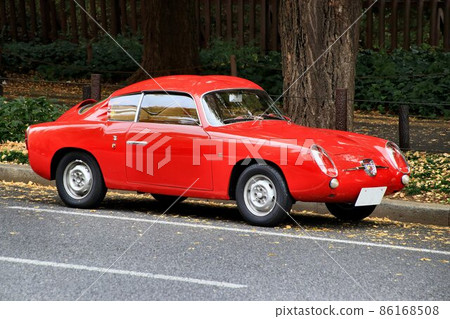 Red Ita Ria car parked in a row of ginkgo trees 86168508