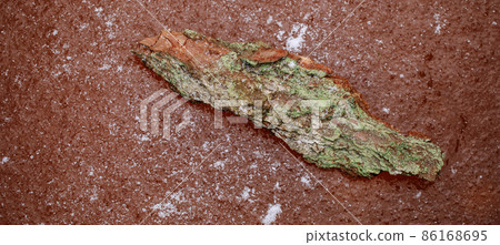 Frozen swamp in winter with plants, fallen trees and autumn leaves in frozen water in wetland environment. Close up of frozen swamp surface in winter time. Unusual orange surface from autumn leaves. Frozen swamp in winter with plants, fallen trees and autumn leaves in frozen water in wetland environment. Close up of frozen swamp surface in winter time. Unusual orange surface from autumn leaves. 86168695