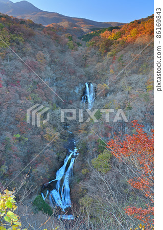 有薄霧的秋天秋葉 86169843