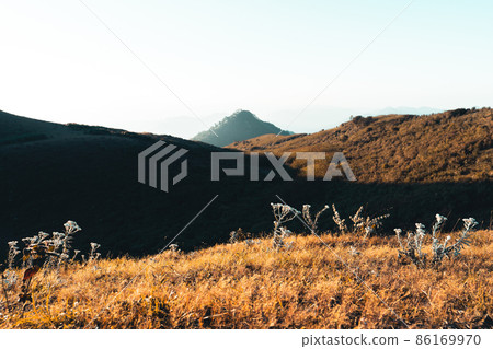 morning light and mountains,mountains in summer morning and spring flowers morning light and mountains,mountains in summer morning and spring flowers 86169970