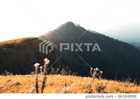 morning light and mountains,mountains in summer morning and spring flowers morning light and mountains,mountains in summer morning and spring flowers 86169998