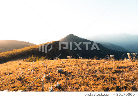 morning light and mountains,mountains in summer morning and spring flowers morning light and mountains,mountains in summer morning and spring flowers 86170000