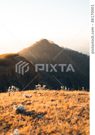 morning light and mountains,mountains in summer morning and spring flowers morning light and mountains,mountains in summer morning and spring flowers 86170001