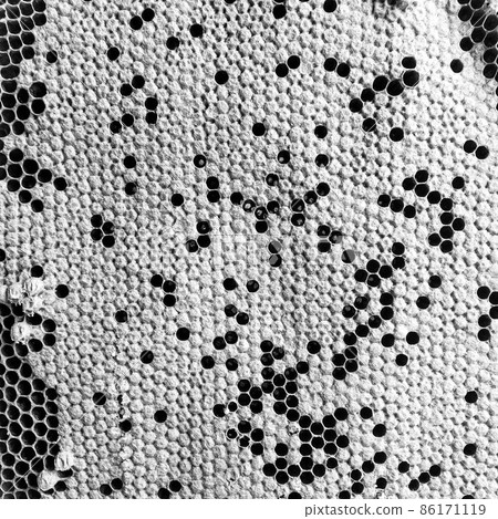 Abstract hexagon structure is honeycomb from bee hive Abstract hexagon structure is honeycomb from bee hive 86171119