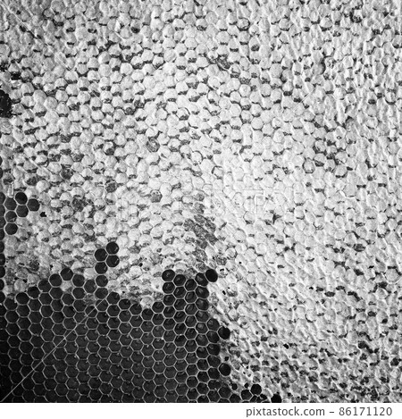Abstract hexagon structure is honeycomb from bee hive Abstract hexagon structure is honeycomb from bee hive 86171120