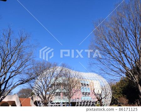 Park under the clear blue sky in winter (Isesaki City) 86171125