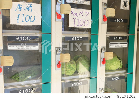 農家蔬菜直銷儲物櫃 新鮮採摘的蔬菜產地直銷 農家蔬菜直銷儲物櫃 新鮮採摘的蔬菜產地直銷 86171202