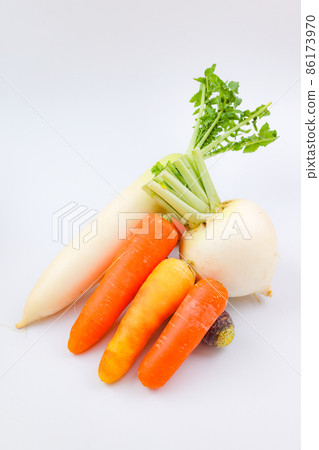 根莖類蔬菜的集體形象 86173970