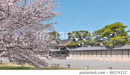 Cherry blossoms in full bloom and the Kenrei Gate in front of the Kyoto Imperial Palace 86174117