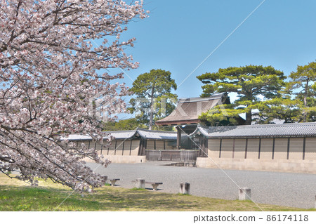 Cherry blossoms in full bloom and the Kenrei Gate in front of the Kyoto Imperial Palace 86174118