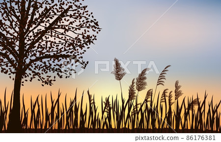 Silhouette of autumn tree, reeds and grass on a background of beautiful sunset. Silhouette of autumn tree, reeds and grass on a background of beautiful sunset. 86176381