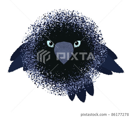 Stylized crow. Cute, adorable crow's face, creative halftone design isolated on white. 86177278