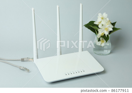 Wi-Fi router and flowers on gray background 86177911