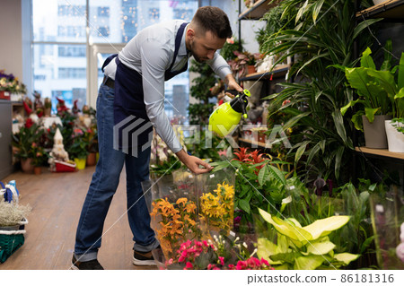 The florist cleans up and waters the flowers in the flower shop The florist cleans up and waters the flowers in the flower shop 86181316