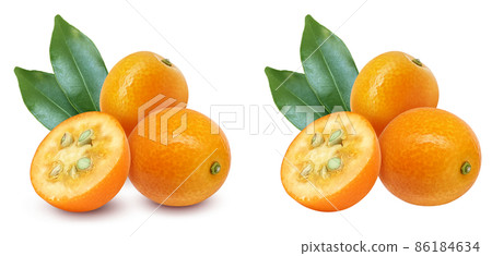 Kumquat fruit illustration real set 86184634