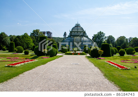 Austria, Vienna, Schonbrunn The Palm House, red flowers in the flowerbed Austria, Vienna, Schonbrunn The Palm House, red flowers in the flowerbed 86184743