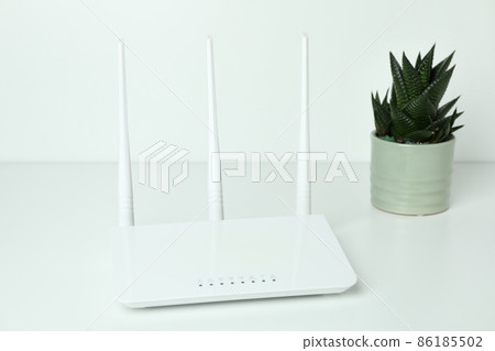 Wi-fi router and succulent on white background 86185502