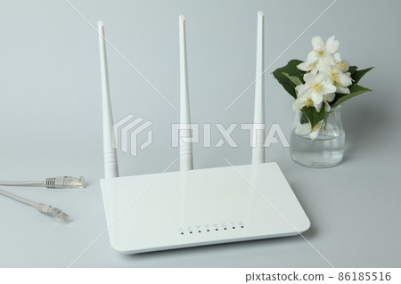 Wi-Fi router and flowers on gray background Wi-Fi router and flowers on gray background 86185516