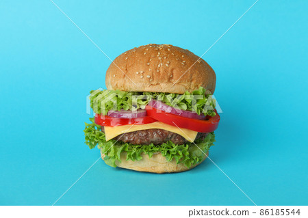 Concept of tasty food with delicious burger Concept of tasty food with delicious burger 86185544