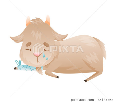 Sick goatling farm animal. Sad baby animal with bandage on its paw cartoon vector illustration 86185768